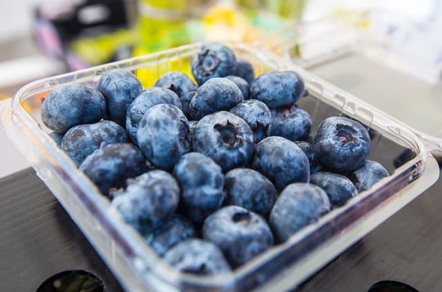 Japón se perfila como un destino atractivo para los arándanos peruanos