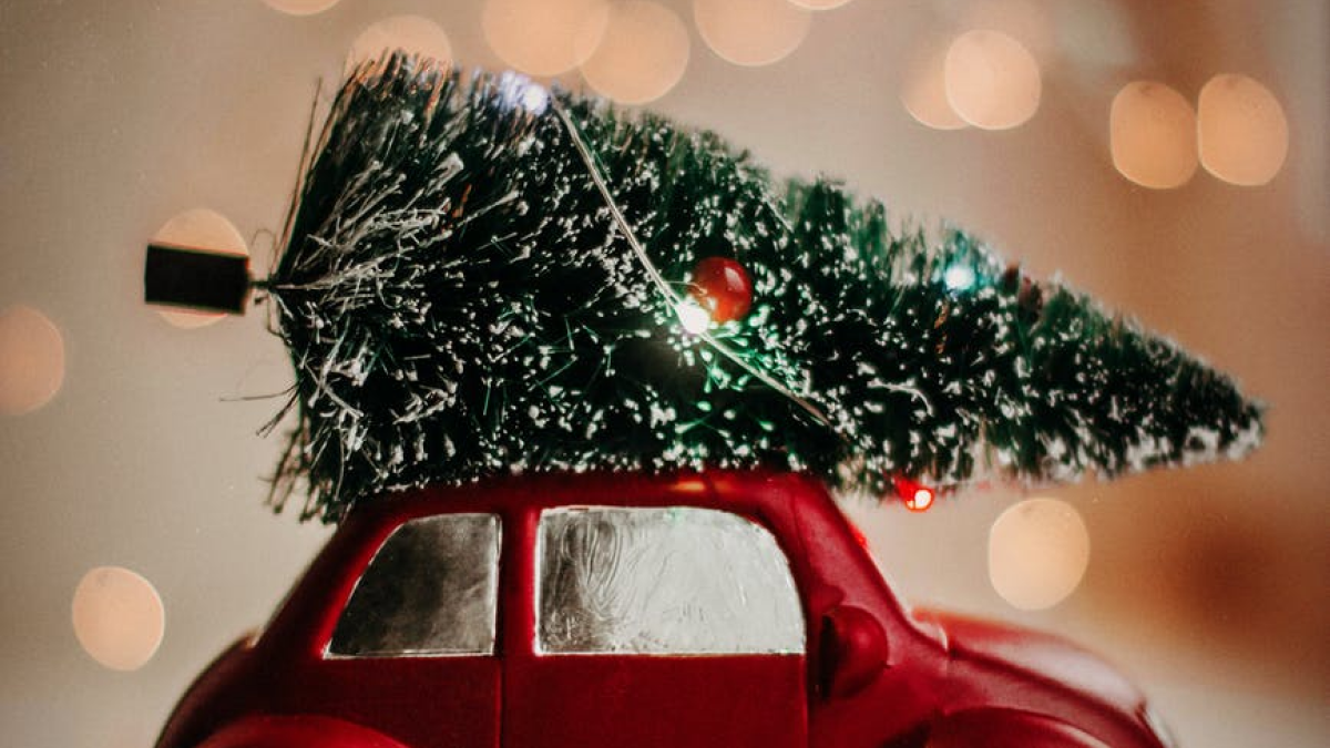 Campaña navideña, digitalización negocio