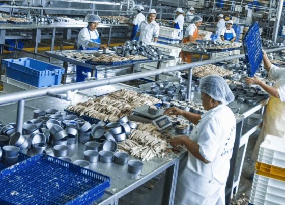 Sector manufactura crece 17.9% en 2021, superando los niveles prepandemia