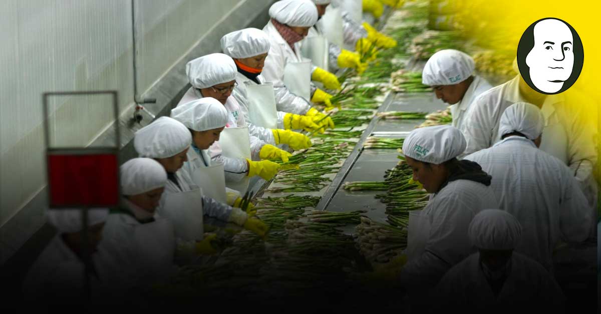 Agroexportaciones tiene impacto mínimo ante conflicto bélico