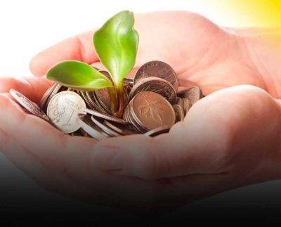 5 alternativas rentables que no puedes desaprovechar