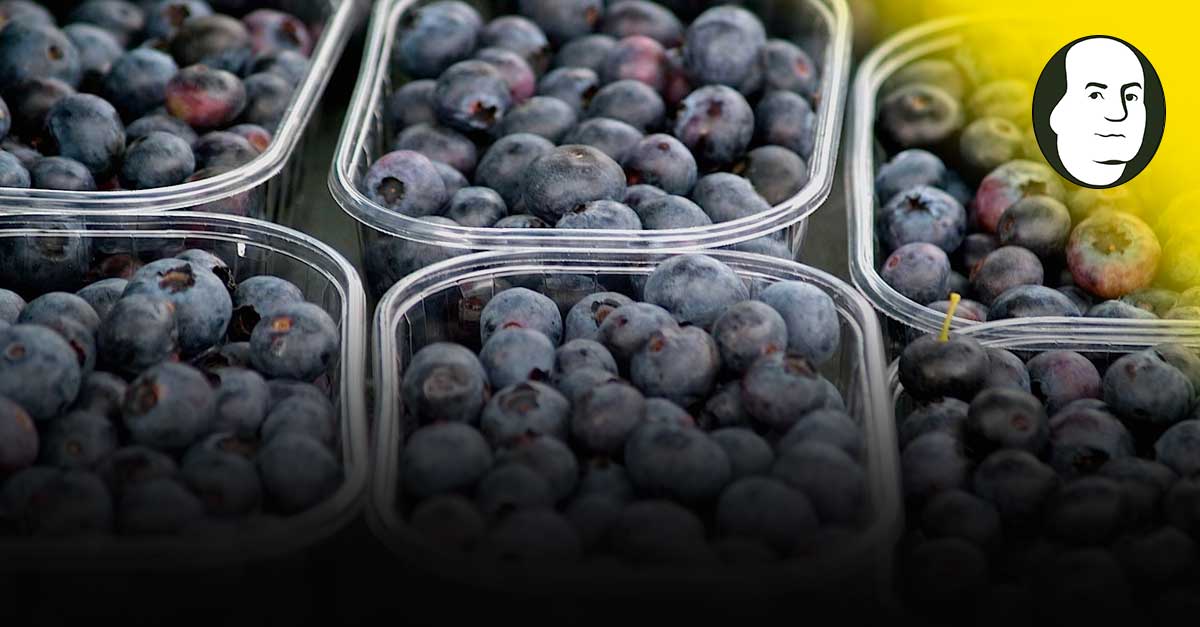 Sector agropecuario creció 3,5%