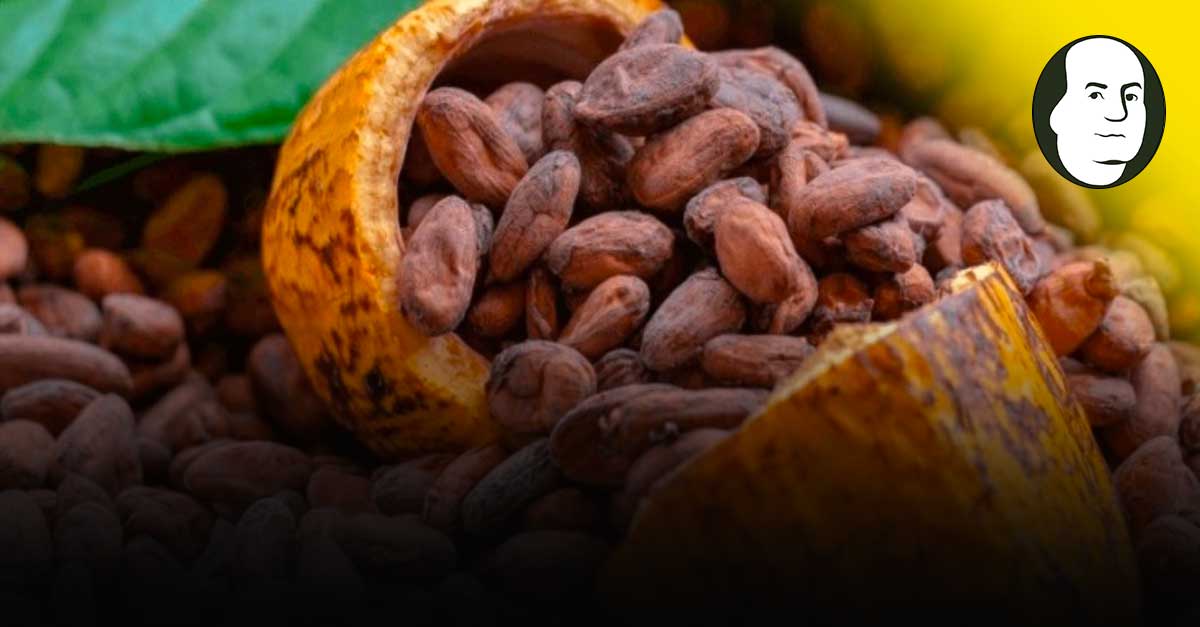 Aumentan las exportaciones nacionales del cacao peruano